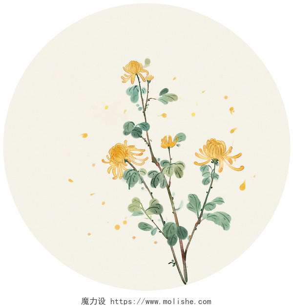 中国风手绘菊花